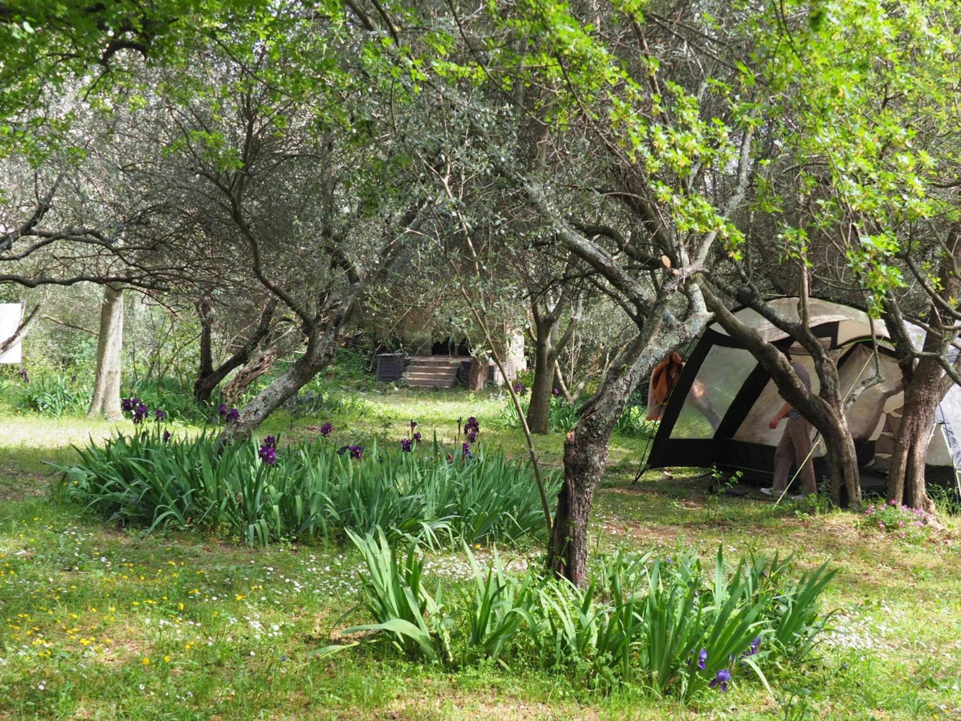 Auberge De Jeunesse Hi Nîmes Kültér fotó